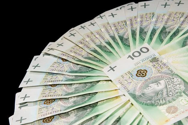 Wydatki rządowe wzrosną w tym roku o 17-18 mld zł