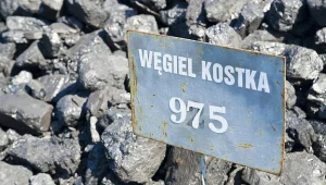 Blady strach padł na sprzedawców węgla... Fot. Stanisław Bielski