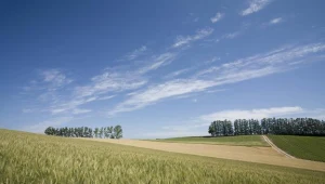 Rząd przyjął projekt ustawy w sprawie obrotu ziemią