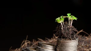 ARiMR: ostatni dzień przyjmowania oświadczeń o dopłaty bezpośrednie