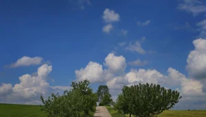 MIiR: Bank ziemi programu Mieszkanie plus