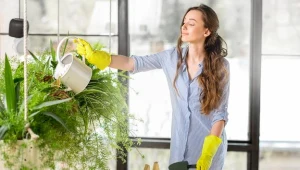 Posiadanie oranżerii to marzenie wielu właścicieli nowych domów