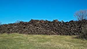 Podkłady kolejowe impregnowane rakotwórczym kreozotem wykorzystywane są w polskim ogrodnictwie