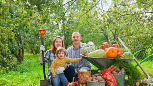 Dodatkowe emerytury otrzymają ubezpieczeni w KRUS