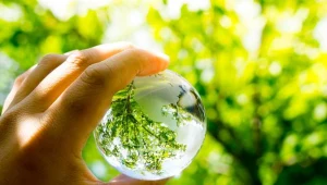 Prawo wymusza ekologiczną transfirmację w firmach