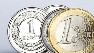 54 proc. firm za przystąpieniem Polski do strefy euro