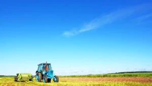 W ciągu ostatnich trzech lat handel działkami rolnymi został zablokowany
