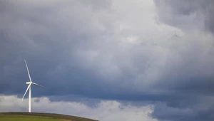 Tauron idzie w zieloną energię...