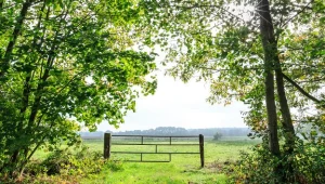 Kiedy następuje sprzedaż gruntu niezabudowanego?