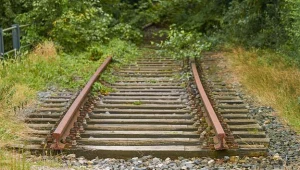 Zdjęcie ilustracyjne