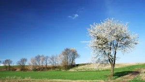 Właściciele działek mogą starać się o odszkodowanie