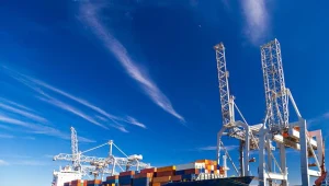 Rotterdam będzie spokojnym portem dla 100 brytyjskich firm?