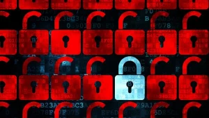 Zdjęcie ilustracyjne