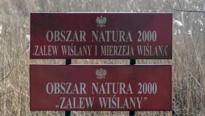 Rząd przyjął uchwałę ws. przekopu przez Mierzeję Wiślaną. Fot. Łukasz Dejnarowicz