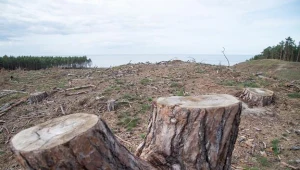 Budowa przekopu przez Mierzeję Wislaną - Nowy Świat. Fot. Wojciech Stróżyk