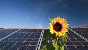 Domy z dachami pokrytymi panelami słonecznymi już nie wzbudzają sensacji