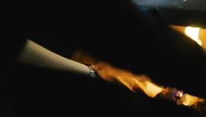 Ustawa ekoprojektu, zacznie obowiązywać 1 stycznia 2020 r.