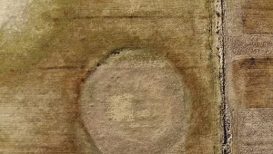 Wyjątkowe odkrycie na Podlasiu 