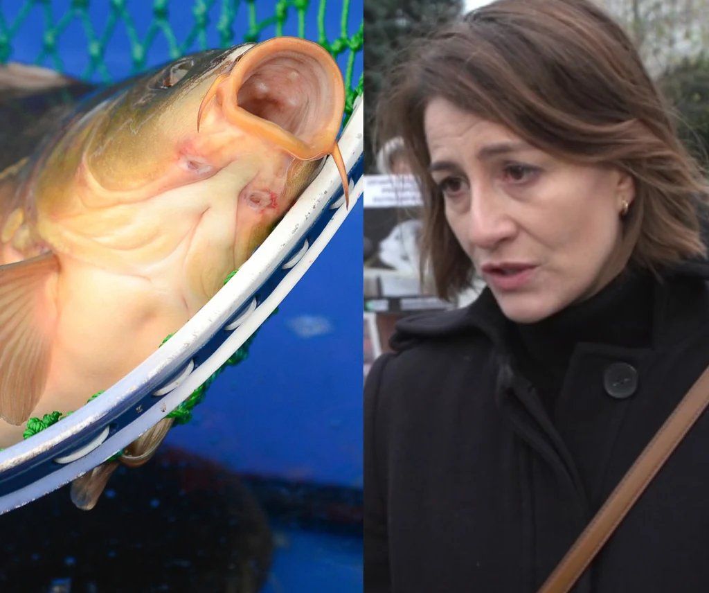 Maja Ostaszewska jest przeciwna zabijaniu karpi