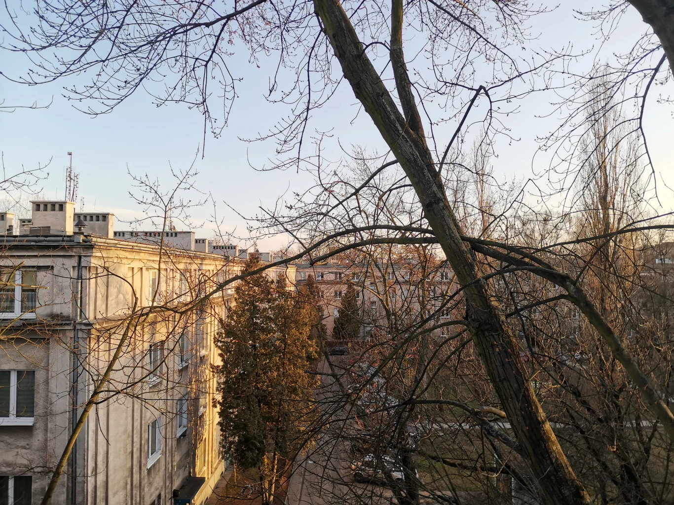 Huawei Nova 5T - przykładowe zdjęcia Huawei Nova 5T - przykładowe zdjęcia