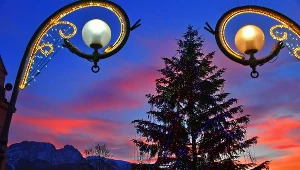 Choinka Świąteczna na Krupówkach w Zakopanem