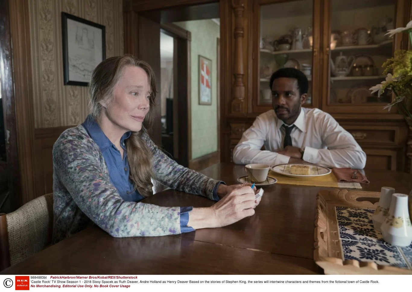 W ostatnich latach chętnie występuje w telewizyjnych produkcjach: zagrała główną rolę Sally Rayburn w produkcji Netflixa "Bloodline", była jedną z gwiazd zbierającego świetne recenzje opartego na prozie Stephena Kinga serialu kryminalnego platformy Hulu "Castle Rock" (na zdjęciu); oglądaliśmy ją również w emitowanym w Prime Video psychologicznym thrillerze "Homecoming".