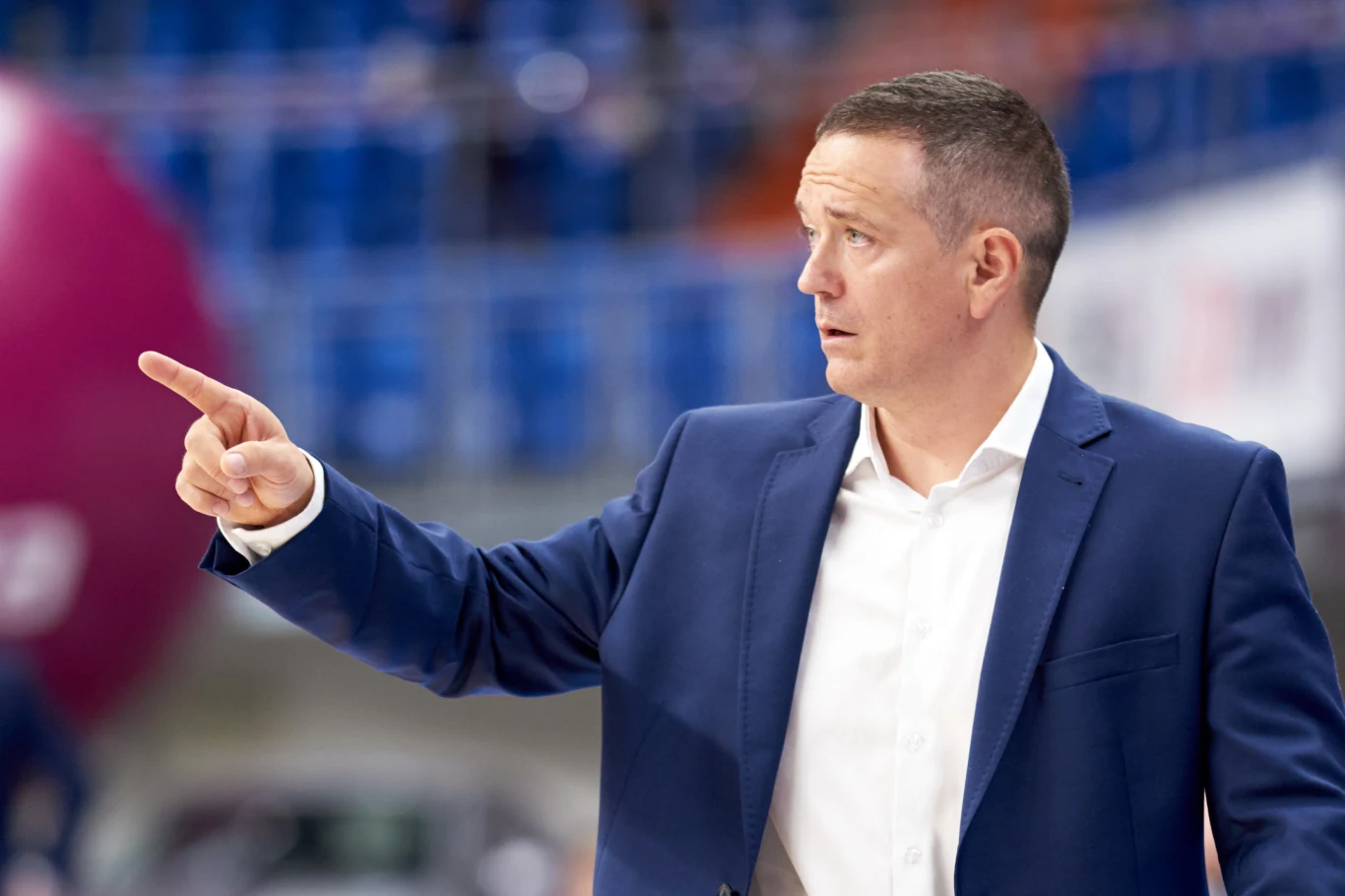 David Dedek David Dedek