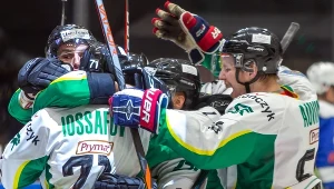 Hokeiści JKH GKS-u Jastrzębie