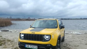 Jeep Renegade Trailhawk - do miasta i w teren