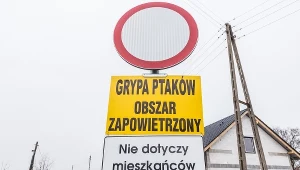 Ptasia grypa, zdjęcie ilustracyjne