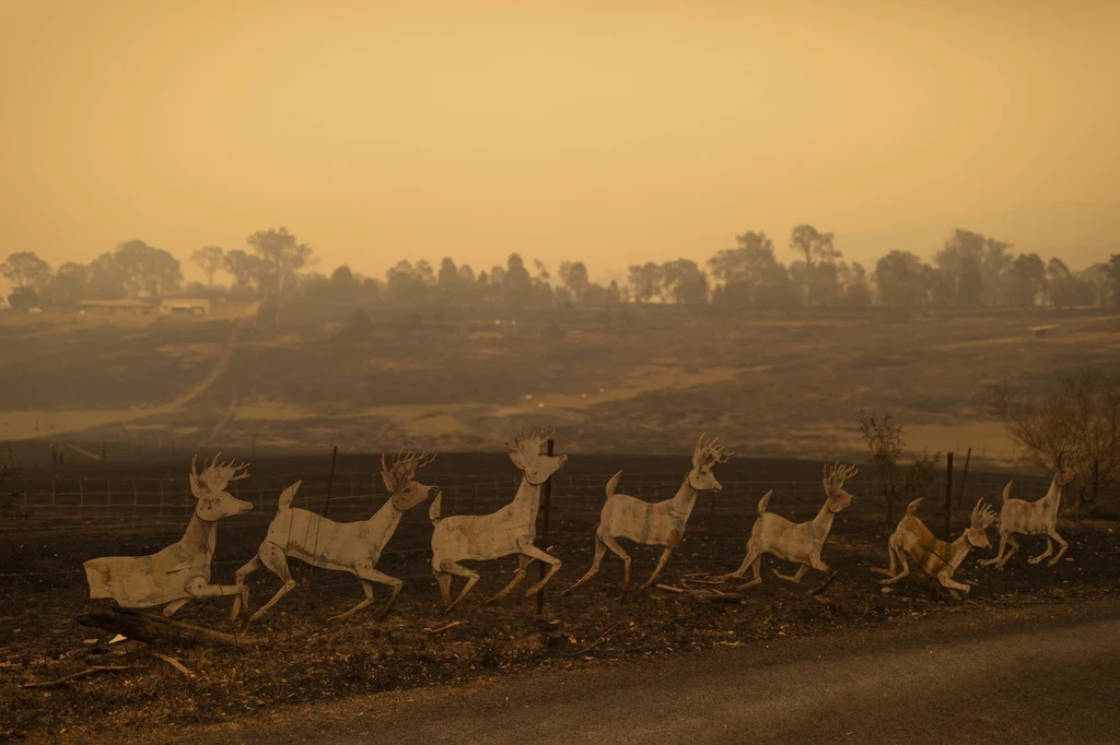 Gwałtowność żywiołu i niezwykle wysokie temperatury przypisywane są zmianom klimatu.