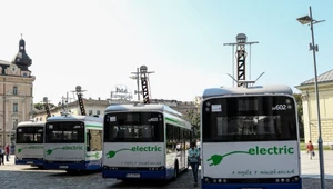 Kraków kupi 50 elektrycznych autobusów