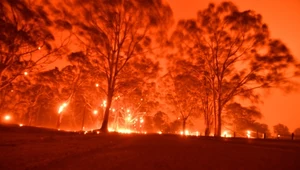 Konsekwencją australijskich susz są m.in. katastrofalne pożary lasów