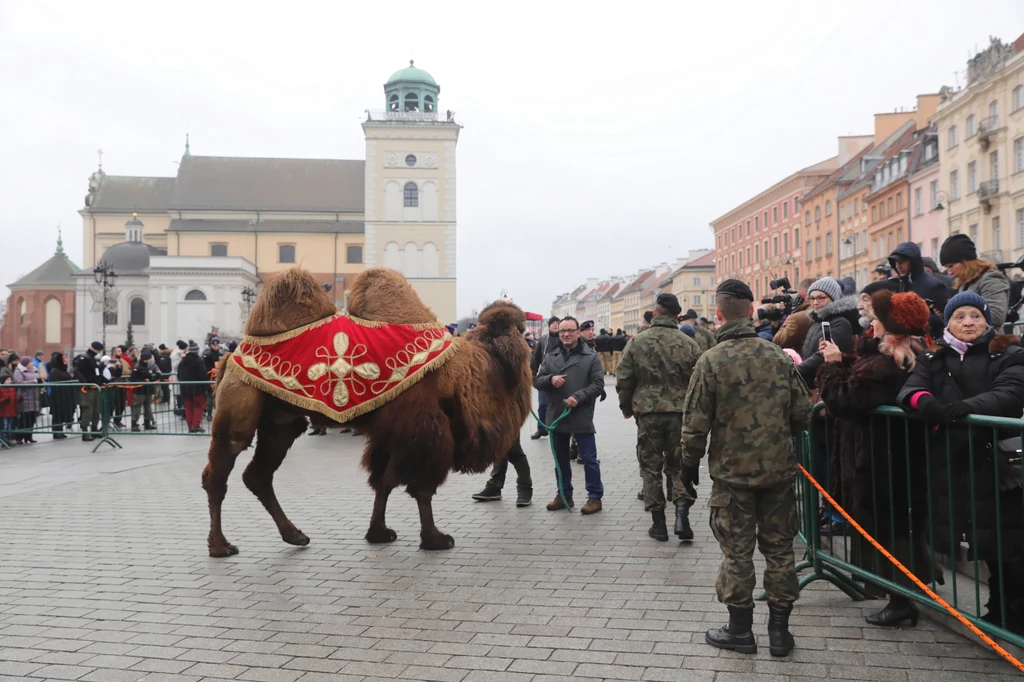 Imprezie towarzyszą liczne koncerty, jarmark orszakowy, żywa szopka ze zwierzętami i zbiórka pieniędzy pod hasłem "Podaruj dzieciom wakacje", z której dochód zostanie przeznaczony na dofinansowanie wakacyjnych wyjazdów dzieci i młodzieży z ubogich rodzin. Imprezie towarzyszą liczne koncerty, jarmark orszakowy, żywa szopka ze zwierzętami i zbiórka pieniędzy pod hasłem "Podaruj dzieciom wakacje", z której dochód zostanie przeznaczony na dofinansowanie wakacyjnych wyjazdów dzieci i młodzieży z ubogich rodzin.