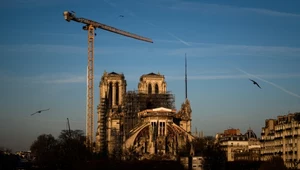Protesty ekologów w związku z odbudową katedry Notre Dame