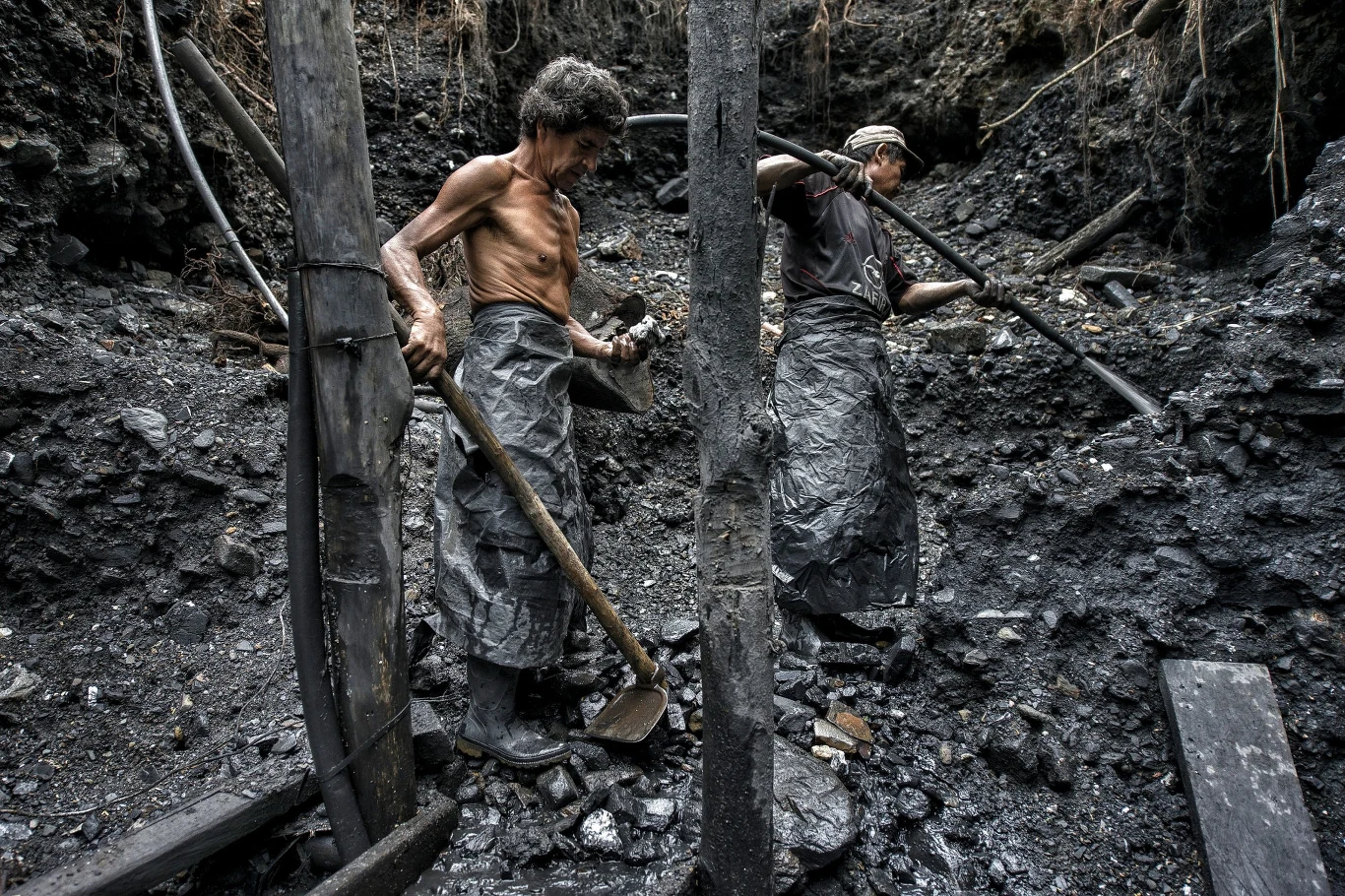 Dla wielu rodzin poszukiwaczy oznaczałoby to koniec finansowych problemów na resztę życia. Wszyscy doskonale wiedzą, że największe okazy wyceniane są nierzadko na kwoty przekraczające 300 milionów dolarów!