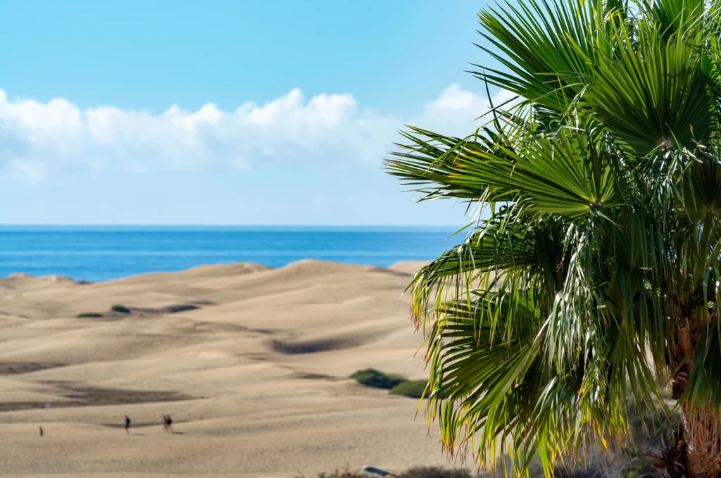 Choć wydmy Maspalomas hipnotyzują, warto oderwać się od nich, by poznać zadziwiające wnętrze wyspy. Choć wydmy Maspalomas hipnotyzują, warto oderwać się od nich, by poznać zadziwiające wnętrze wyspy.