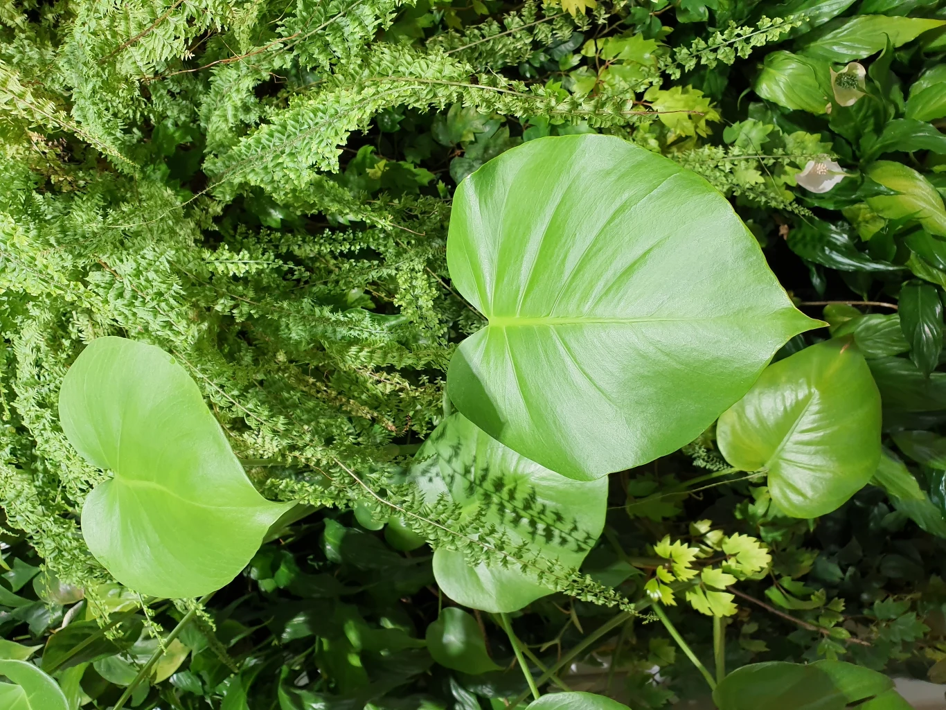 Kolory pozostają naturalne - nie ma mowy o zakłamaniach lub niepotrzebnej modyfikacji