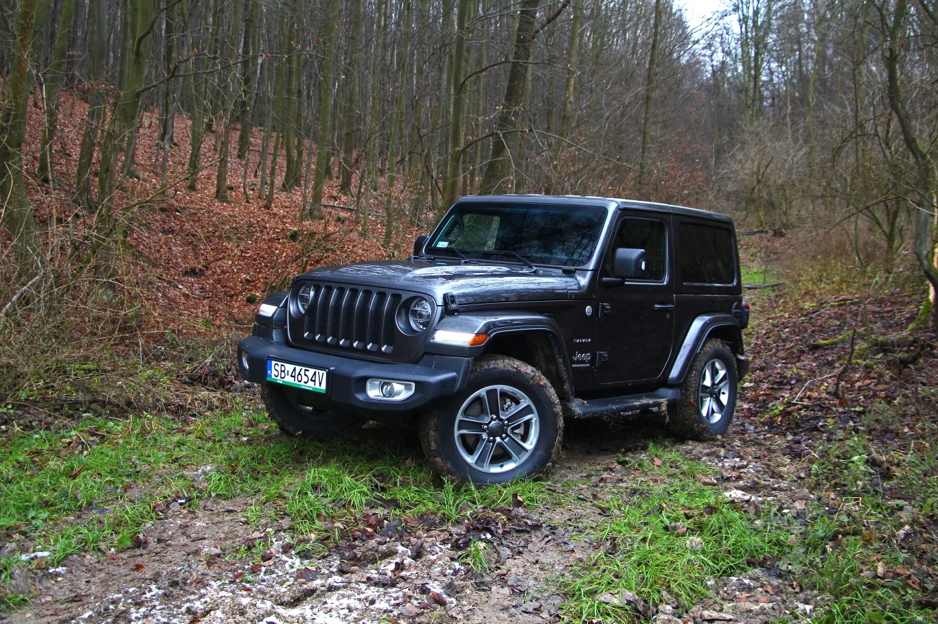 Jeep Wrangler Sahara