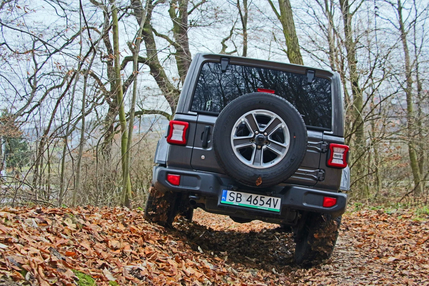 Jeep Wrangler Sahara