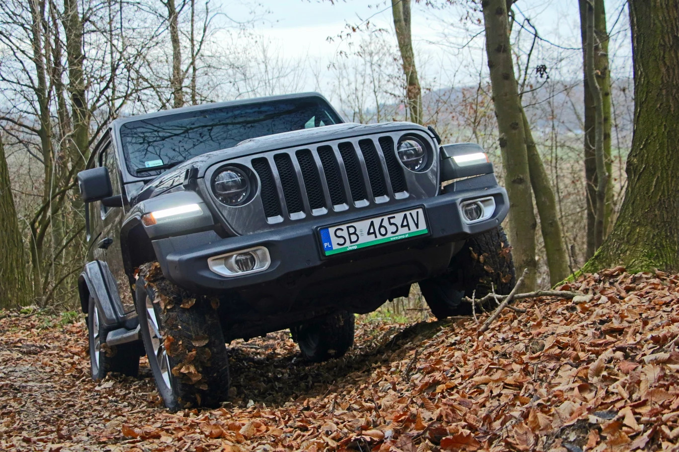 Jeep Wrangler Sahara