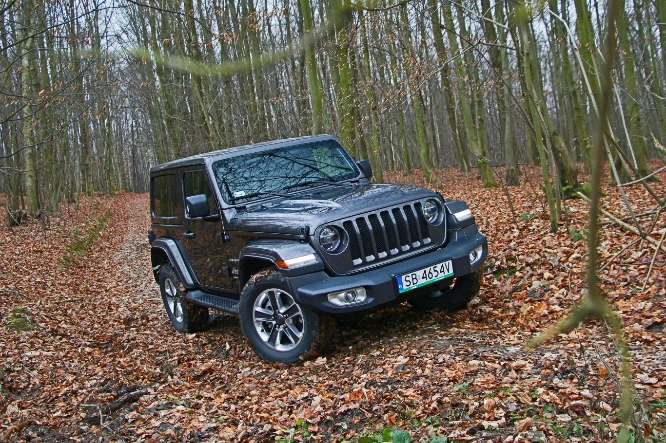 Jeep Wrangler Sahara