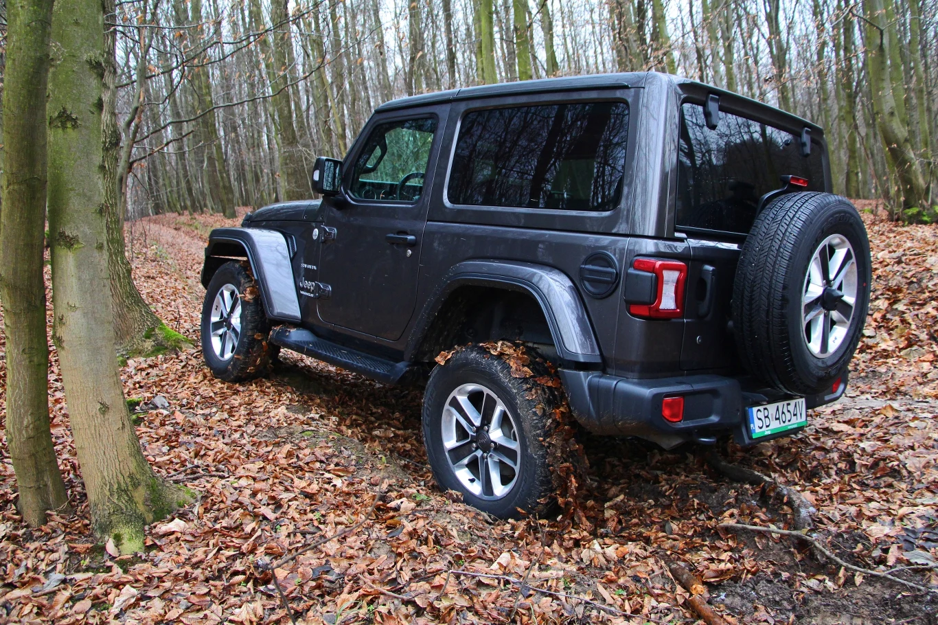 Jeep Wrangler Sahara