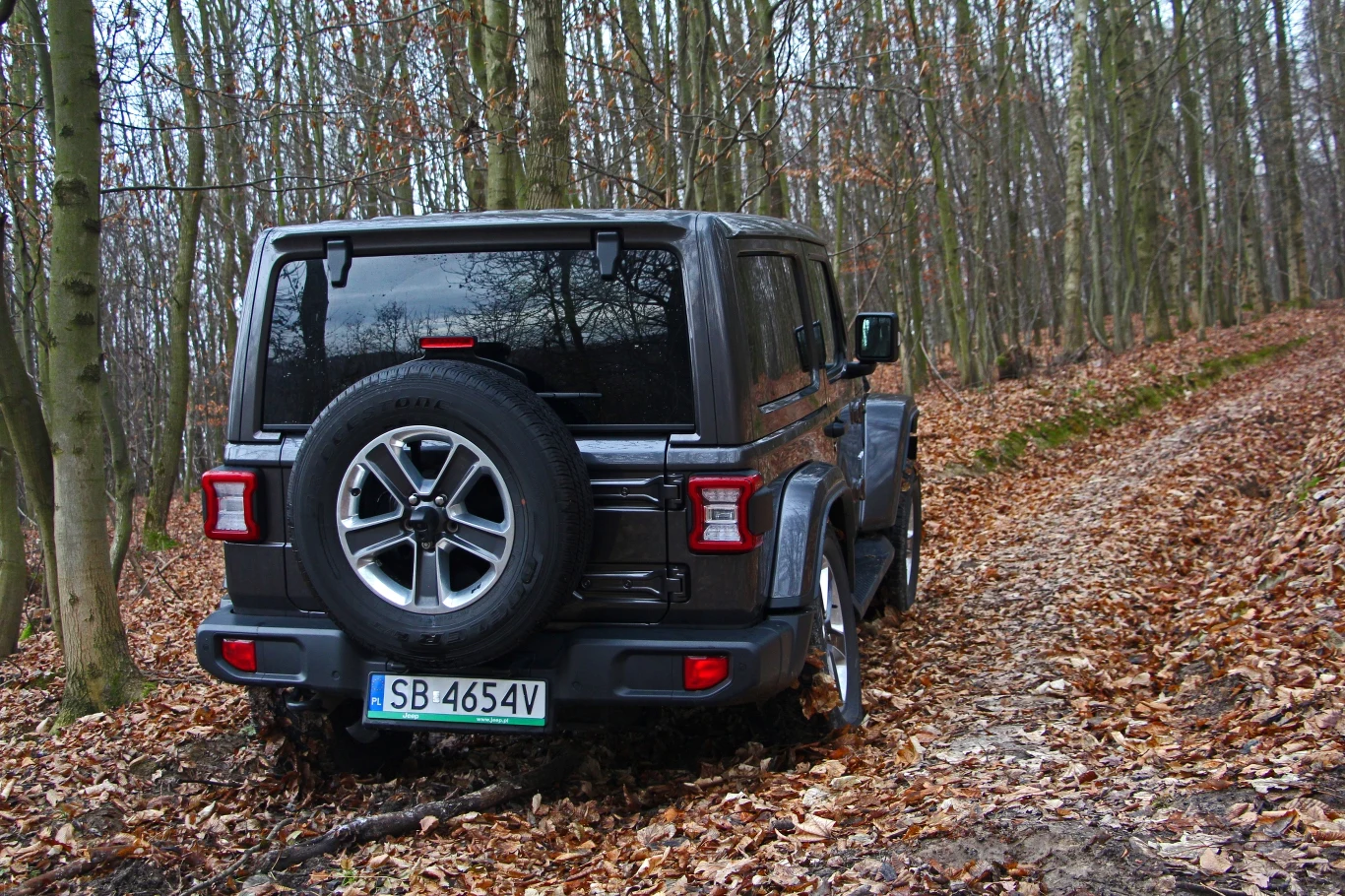 Jeep Wrangler Sahara