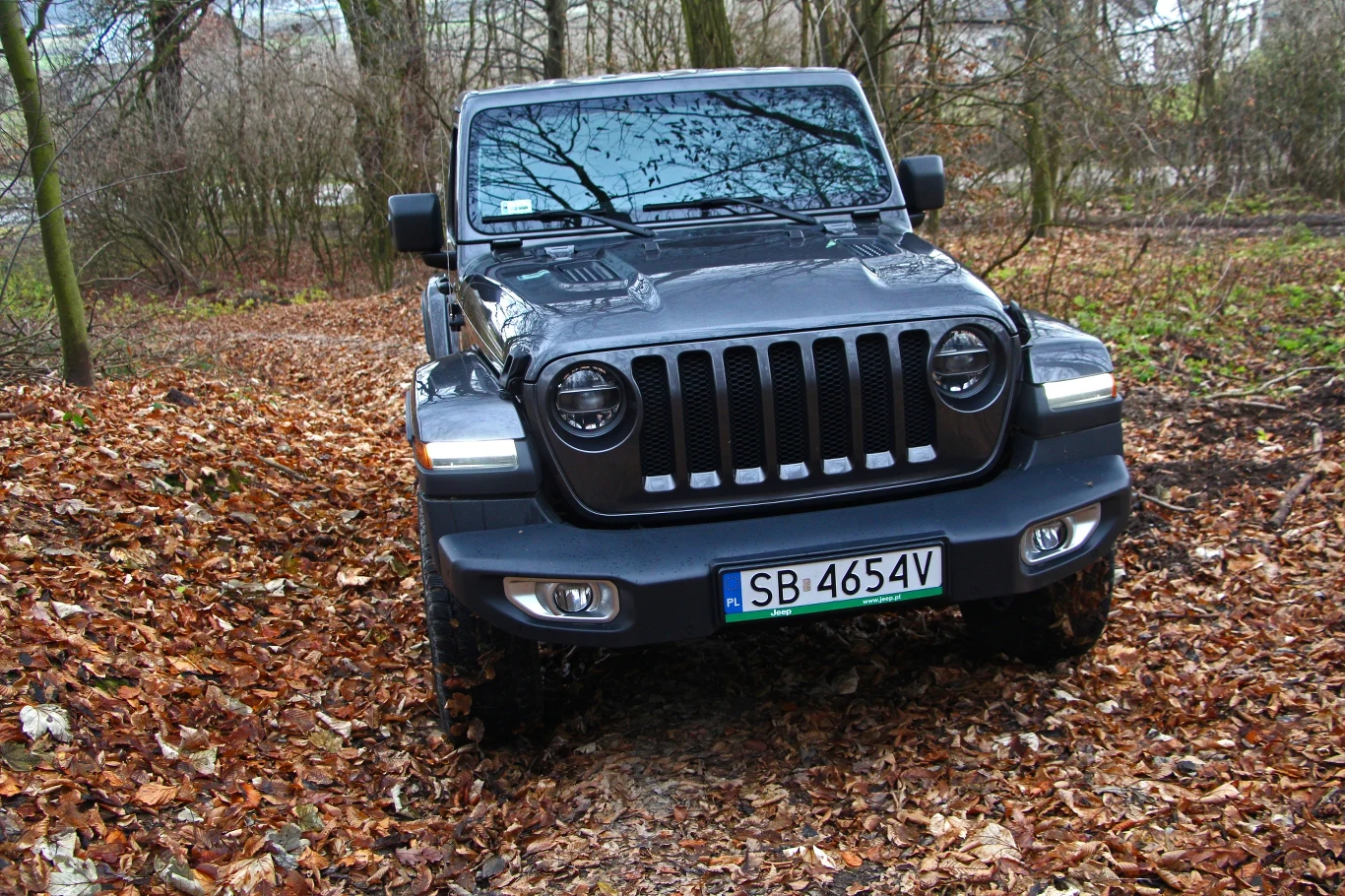 Jeep Wrangler Sahara