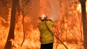 Australijskie pożary lasów sa ogormną tragedią. Cały świat stara się pomoc jak potrafi