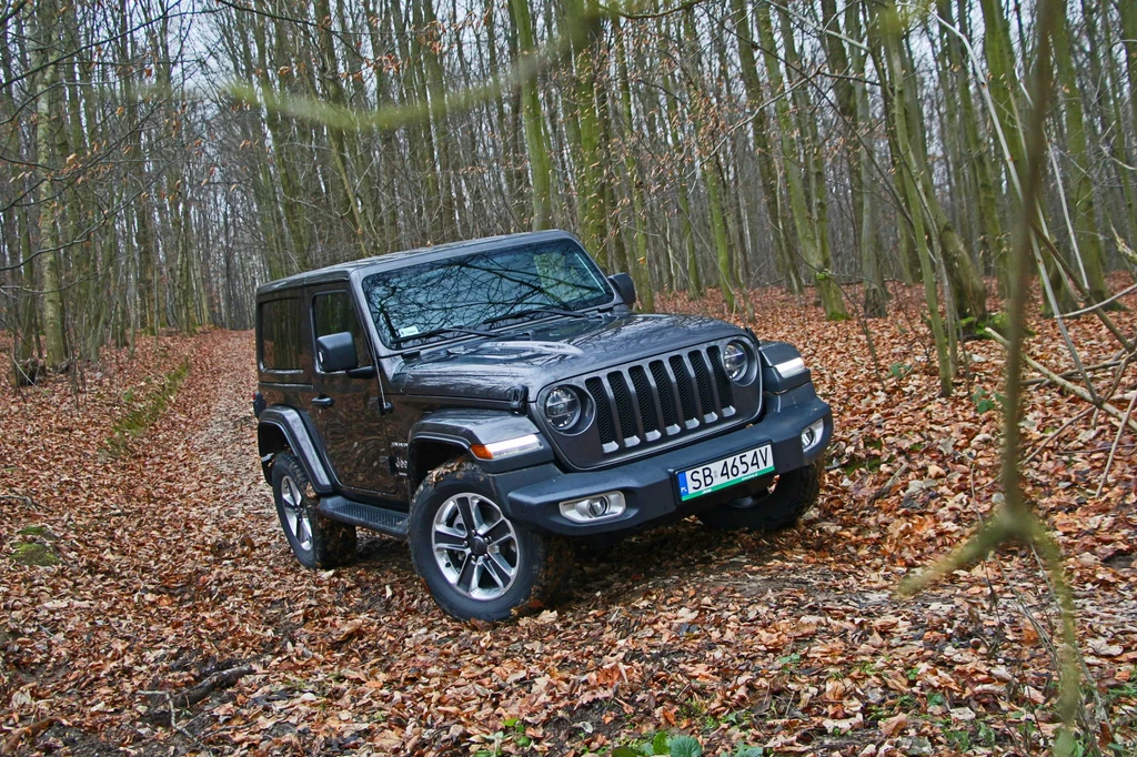 Jeep Wrangler Sahara