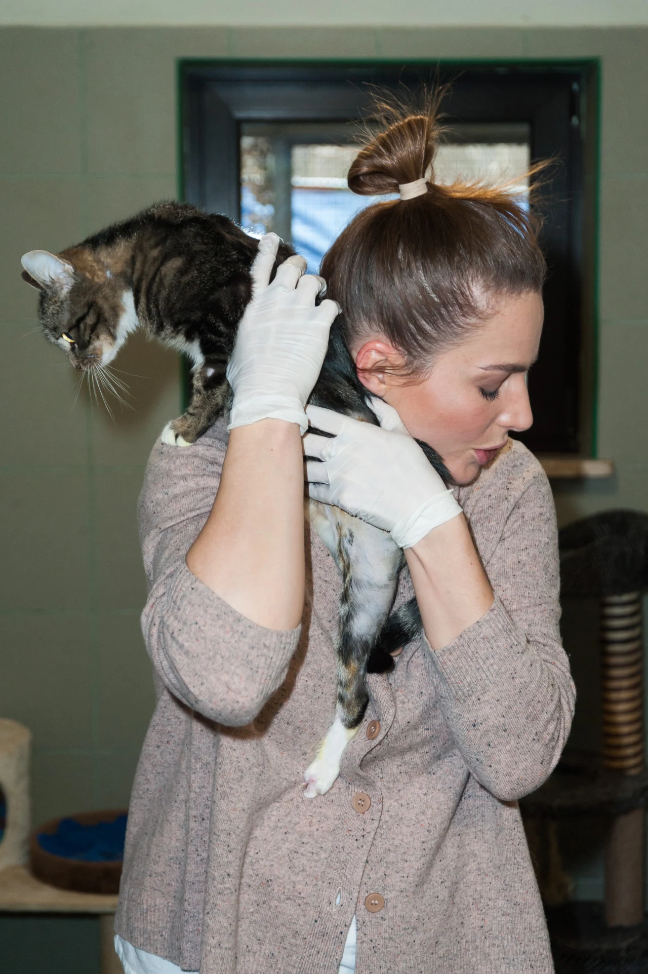 Anna Dereszowska Anna Dereszowska