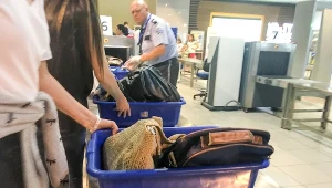 Sprawdzanie bagaży przez służby na lotnisku, zdj. ilustracyjne