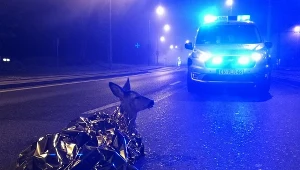 Straż miejska udostępniła zdjęcia z nocnej akcji